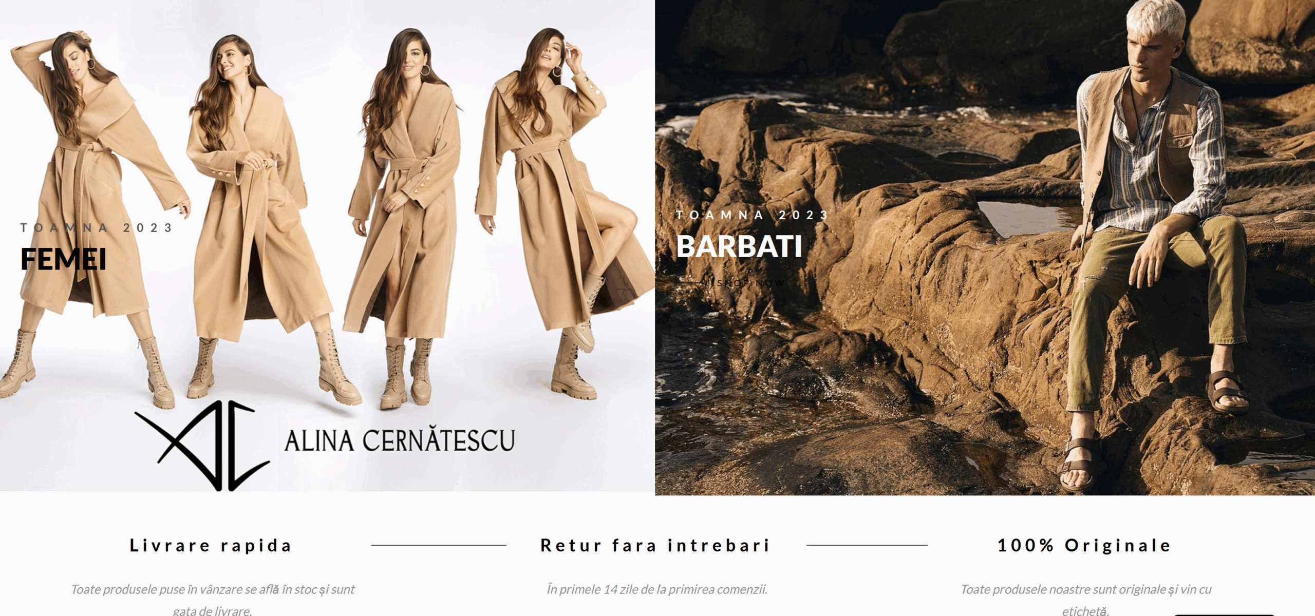Portfolio Image