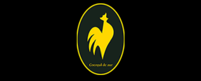 Brand Logo
